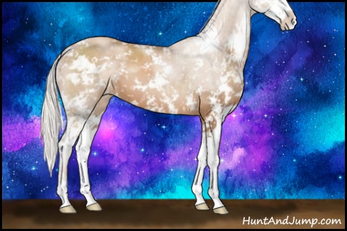 Horse Color:Silver Black Pearl Sabino 