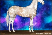 Horse Color:Silver Black Pearl Sabino 