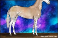 Horse Color:Silver Black Pearl Sabino 