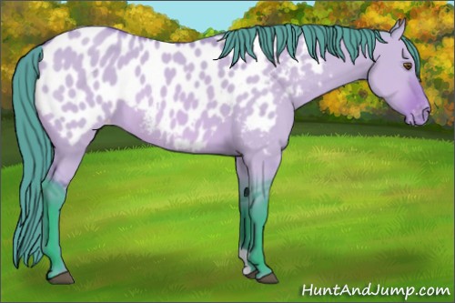 Horse Color:Watercolor Bay Dun Appaloosa 