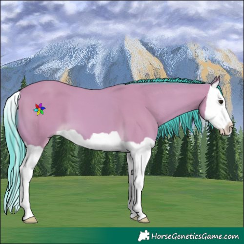 Horse Color:Watercolor Buckskin Splash 