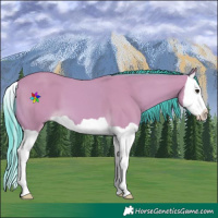 Horse Color:Watercolor Buckskin Splash 