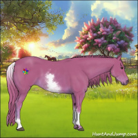 Horse Color:Watercolor White Spotted Chestnut 