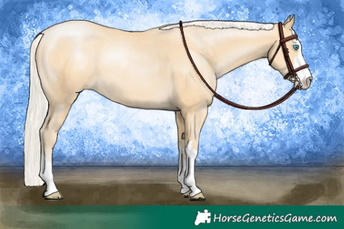 Horse Color:Silver Buckskin Pearl 