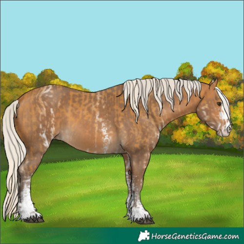 Horse Color:White Spotted Palomino  and Silver Buckskin Sabino 