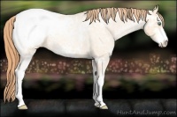 Horse Color:Classic Champagne Ice Roan Pearl Sabino Appaloosa