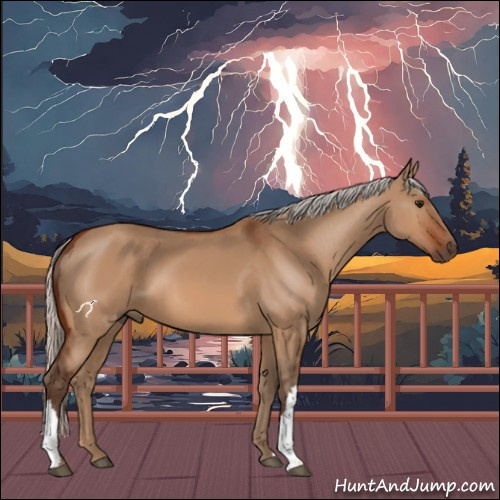 Horse Color:Silver Bay Dun 