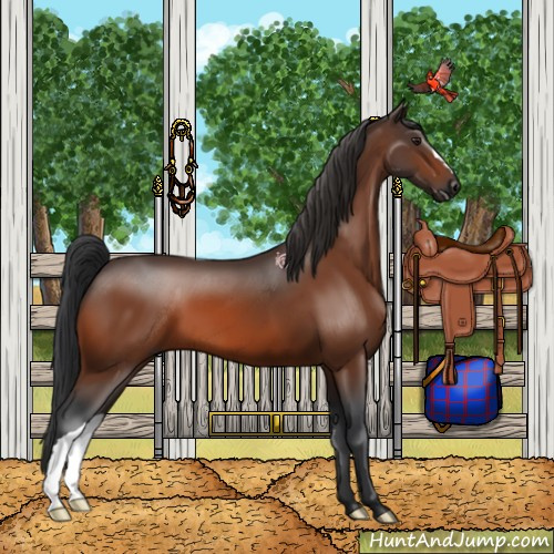 Horse Color:Brown 