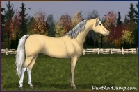 Horse Color:Silver Buckskin 