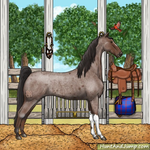 Horse Color:Bay Roan Rabicano