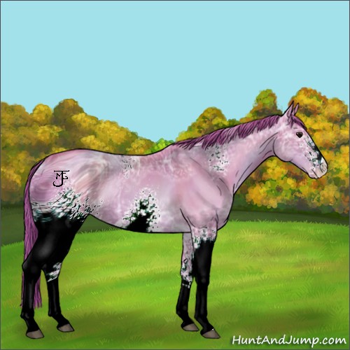Horse Color:ERROR: UNKNOWN ANOMALY