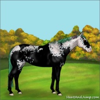 Horse Color:Watercolor White Spotted Classic Champagne Ice Dun Tobiano 