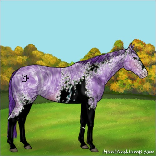 Horse Color:ERROR: UNKNOWN ANOMALY