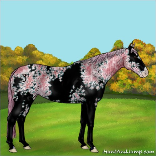 Horse Color:Watercolor White Spotted Liver Chestnut Ice 