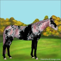 Horse Color:Watercolor White Spotted Liver Chestnut Ice 