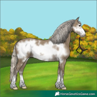 Horse Color:Silver Smoky Grullo Frame