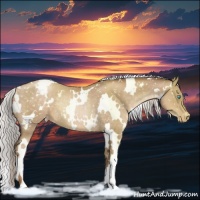 Horse Color:White Spotted Silver Smoky Black Pearl Appaloosa Rabicano 