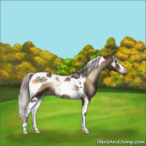 Horse Color:Silver Brown Onyx Tobiano 