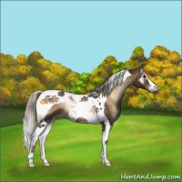 Horse Color:Silver Brown Onyx Tobiano 