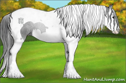 Horse Color:Black Splash Tobiano 