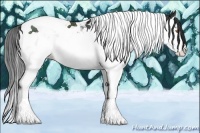 Horse Color:Black Splash Tobiano