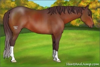 Horse Color:Chocolate Brown 