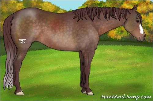 Horse Color:Chocolate Brown 