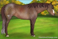 Horse Color:Chocolate Brown 
