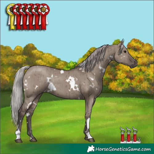Horse Color:White Spotted Silver Grullo Brindle 