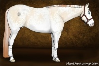 Horse Color:White Spotted Buckskin Pearl Dun Sabino