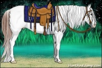Horse Color:Chestnut Appaloosa