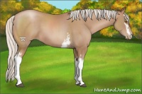 Horse Color:White Spotted Silver Black Pearl Sabino 
