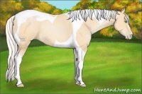 Horse Color:Silver Smoky Black Pearl Tobiano 
