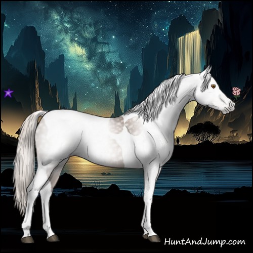 Horse Color:Gray Silver Black Pearl Tobiano 
