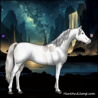 Horse Color:Gray Silver Black Pearl Tobiano 
