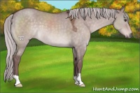 Horse Color:Platinum Chocolate Silver Brown Dun 