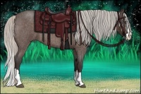 Horse Color:Silver Bay Roan Splash 
