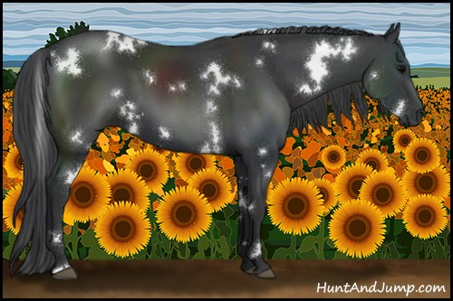 Horse Color:White Spotted Black 