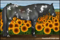 Horse Color:White Spotted Black
