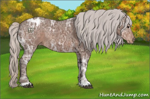 Horse Color:Silver Black Ice Varnish Rabicano