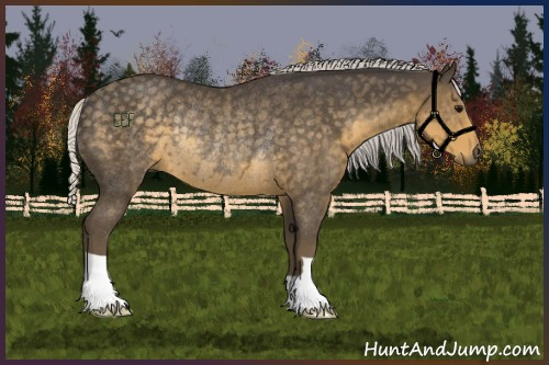 Horse Color:Silver Smoky Black Rabicano 