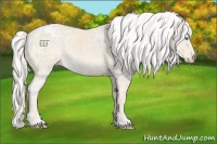 Horse Color:Silver Smoky Creme Ice Rabicano