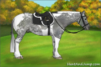 Horse Color:Black Ice Tobiano Rabicano 