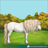 Horse Color:Smoky Black Ice Pearl Rabicano 
