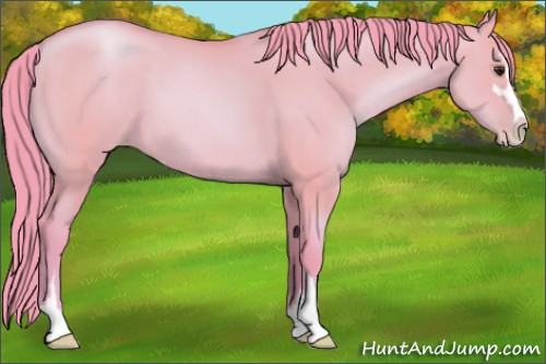 Horse Color:Watercolor Grullo Pearl Sabino 