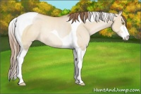 Horse Color:Brown Pearl Dun Sabino Tobiano Rabicano 
