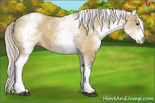 Horse Color:White Spotted Silver Bay Dun 