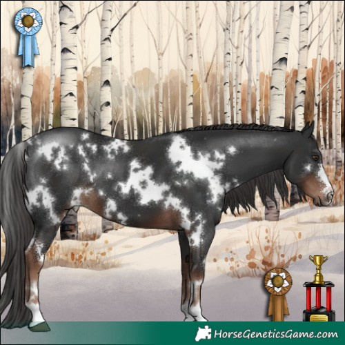 Horse Color:White Spotted Liver Chestnut 