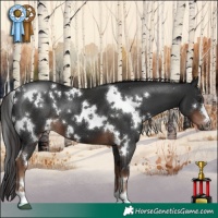 Horse Color:White Spotted Liver Chestnut 
