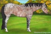Horse Color:Brown Ice